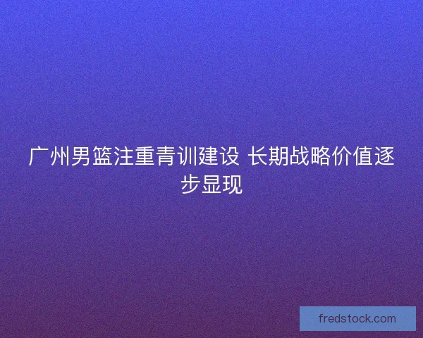广州男篮注重青训建设 长期战略价值逐步显现