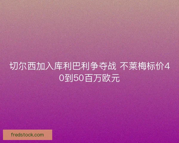 切尔西加入库利巴利争夺战 不莱梅标价40到50百万欧元